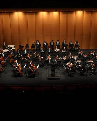 Outlander In Concert